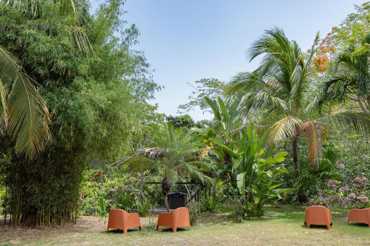 Vieques Tropical Guest House Ngoại thất bức ảnh